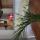 B&B Bierbeek, Guesthouse, B Apartment, b&b Haasrode,Leuven,Leuven,Leuven,b&b Leuven