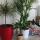 B&B Bierbeek, Guesthouse, B Apartment, b&b Haasrode,Leuven,Leuven,Leuven,b&b Leuven